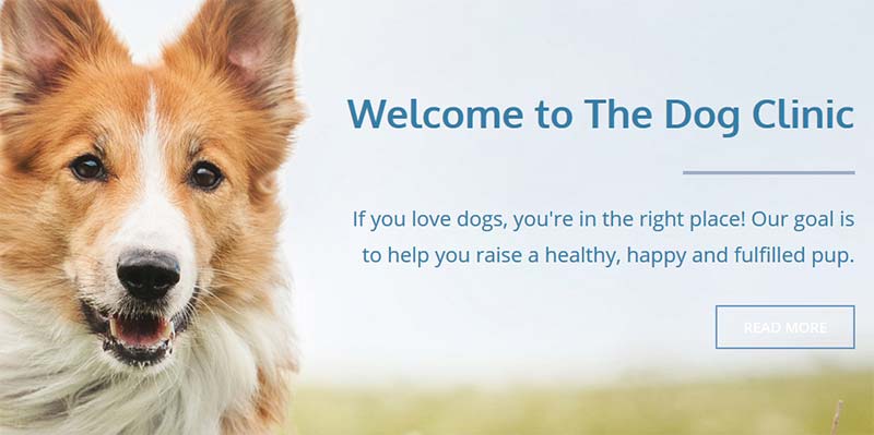 The Dog Clinic UK