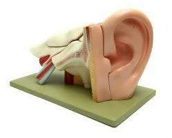 Hearing loss